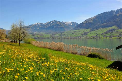 wandern sarnen|Die 5 schönsten Bergtouren rund um den Sarnersee